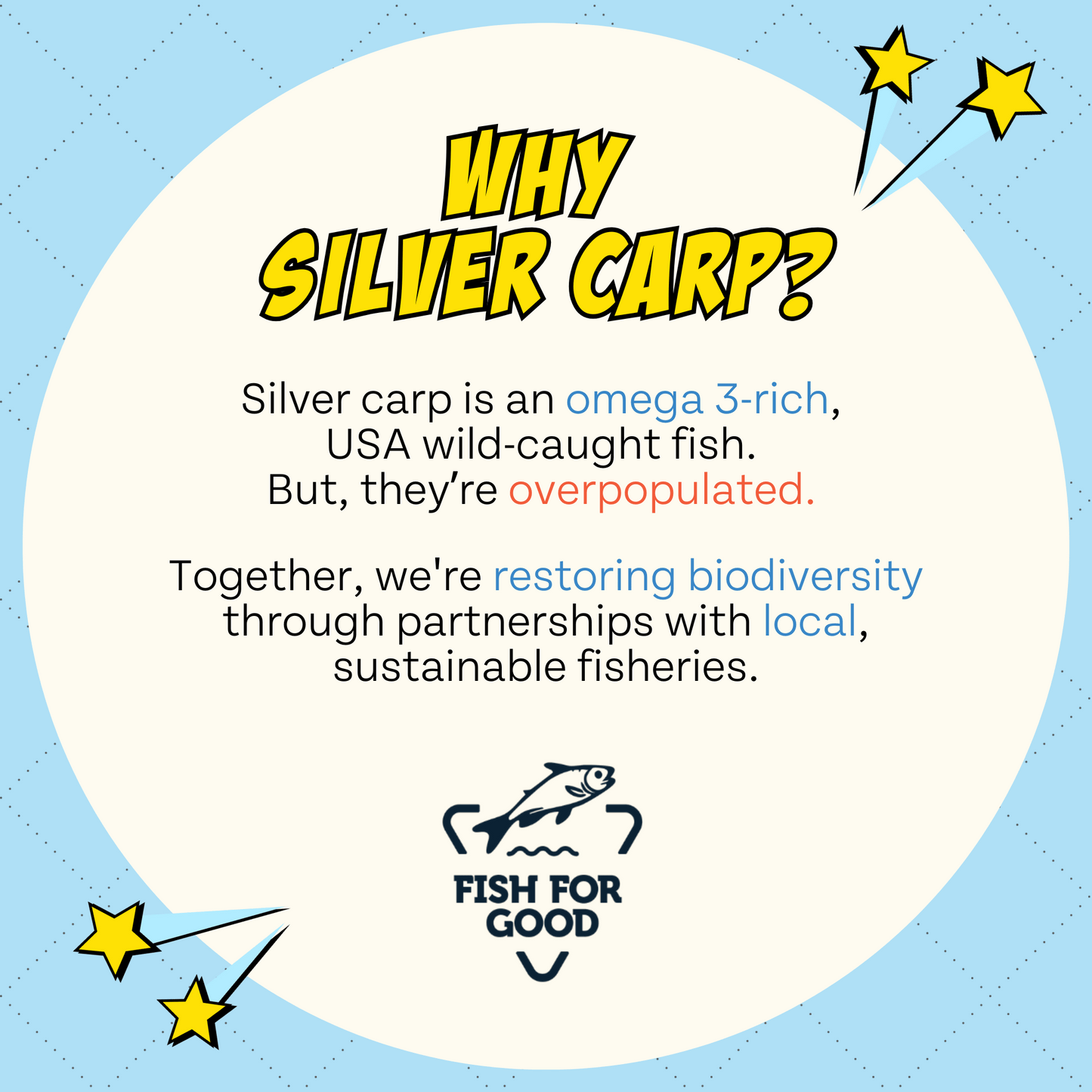 Silver Carp Variety Pack