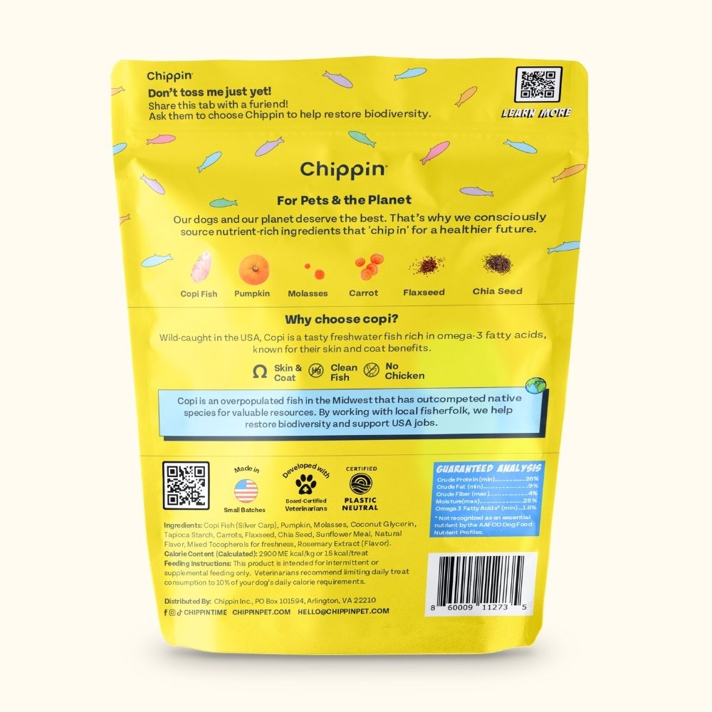 Birthday Dog Treats, 4-Pack
