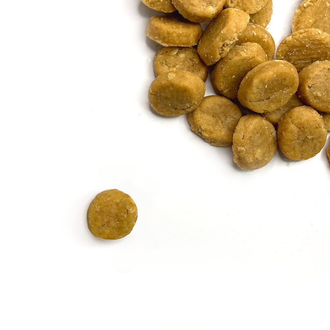 Chicken Free Dog Treats – Peanut Butter Honey Chewy (16 oz, Chicken-Free)