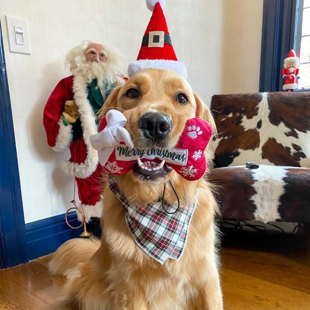 Merry Christmas Bone & Starbarks Puppermint Mocha Original Cup | Christmas Dog Toys
