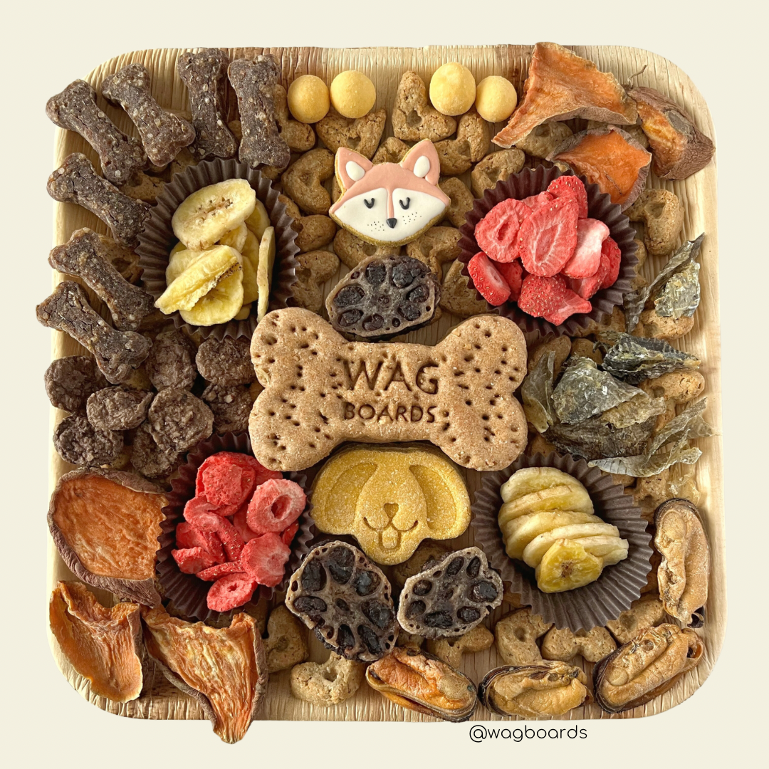 Wagboard Doggy Charcuterie Dog Treats