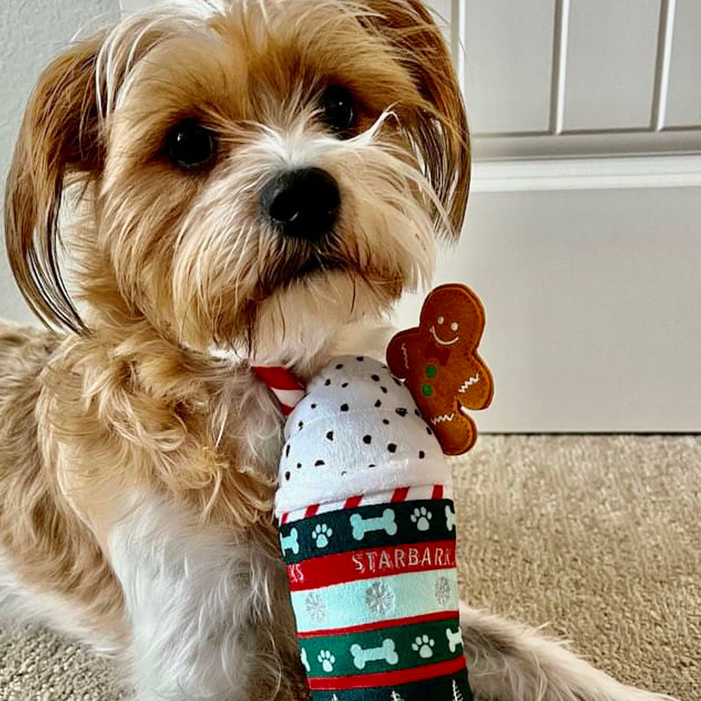 Ginger Bark Latte & Howliday Cheer Mug | Christmas Dog Toys