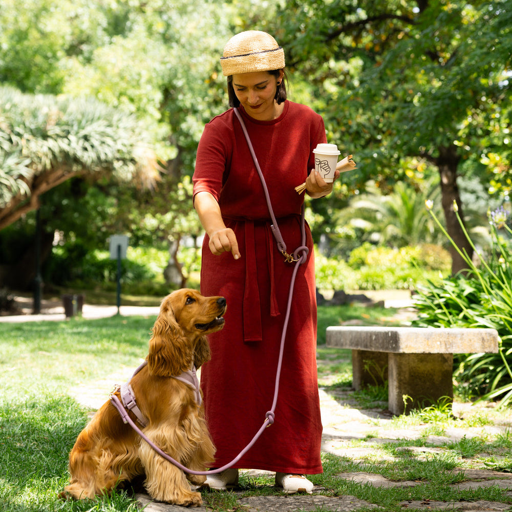 'Bordeaux' - Hands Free Braided Leash