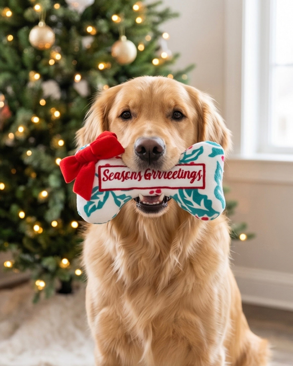 Holly Print Bone - Seasons Grrreetings Christmas Plush Dog Toy Holiday
