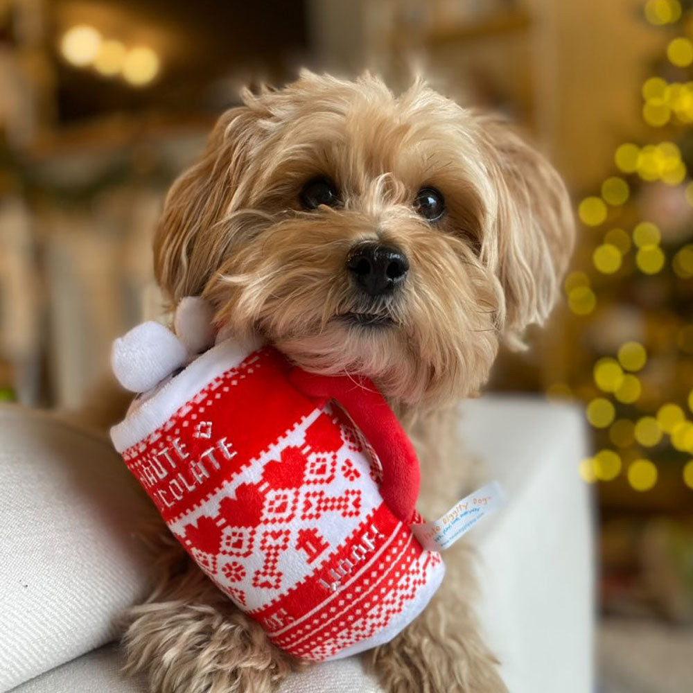 Holly Cup, Green Stars Bone, & Haute Chocolate | Christmas Dog Toys