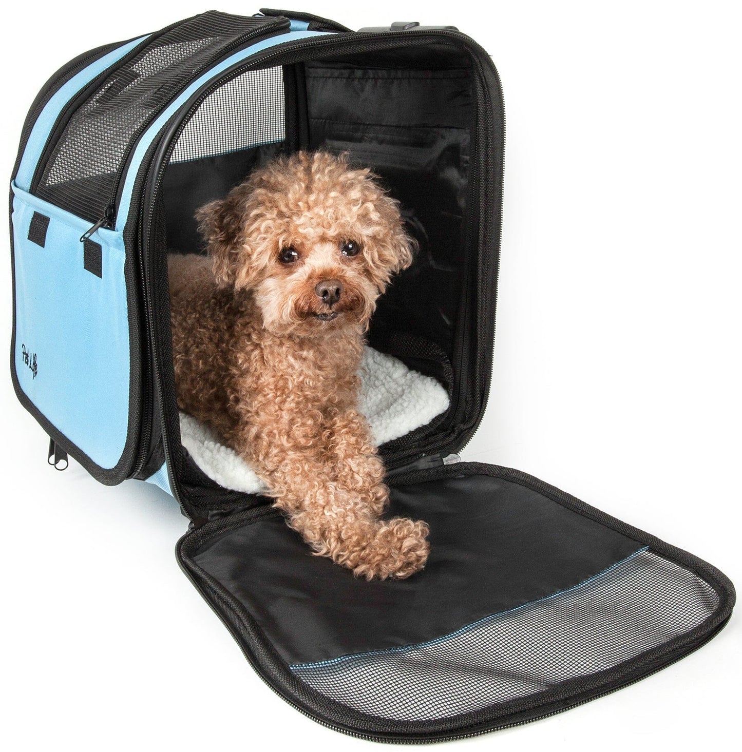 Pet Life ® 'Pawdon Me ' Wheeled Airline Approved Travel Collapsible Pet Dog Carrier