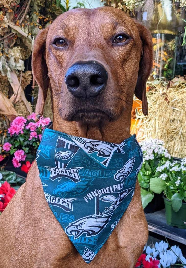 Philadelphia Eagles Football Dog Bandana – Bark & Beyond