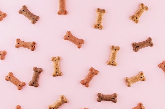 Bone shaped dog treats scattered across a surface