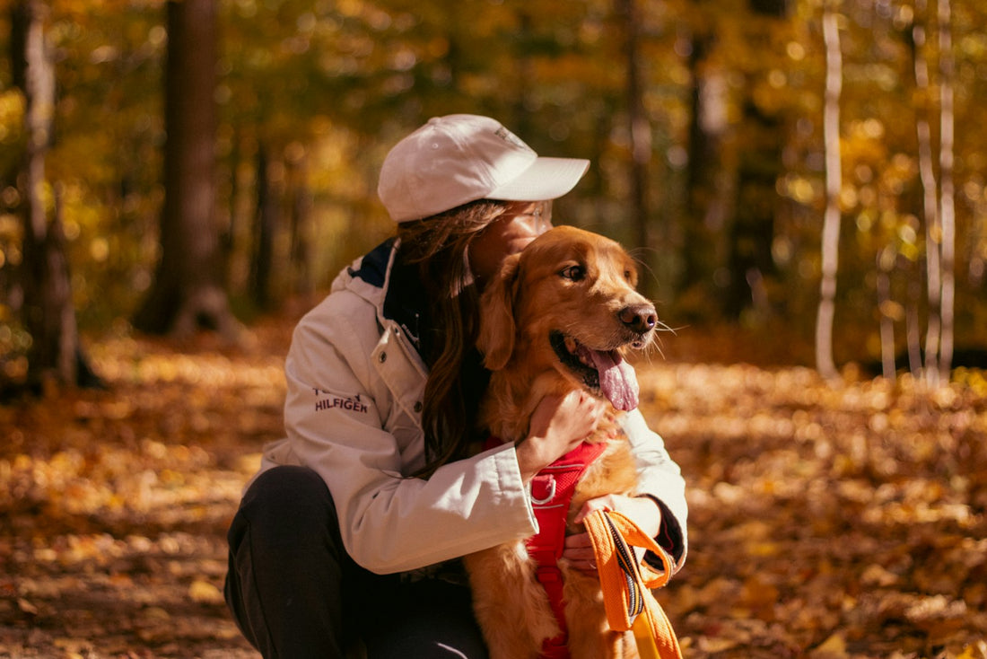 A woman kneeling and hugging a golden retriever in an autumn forest