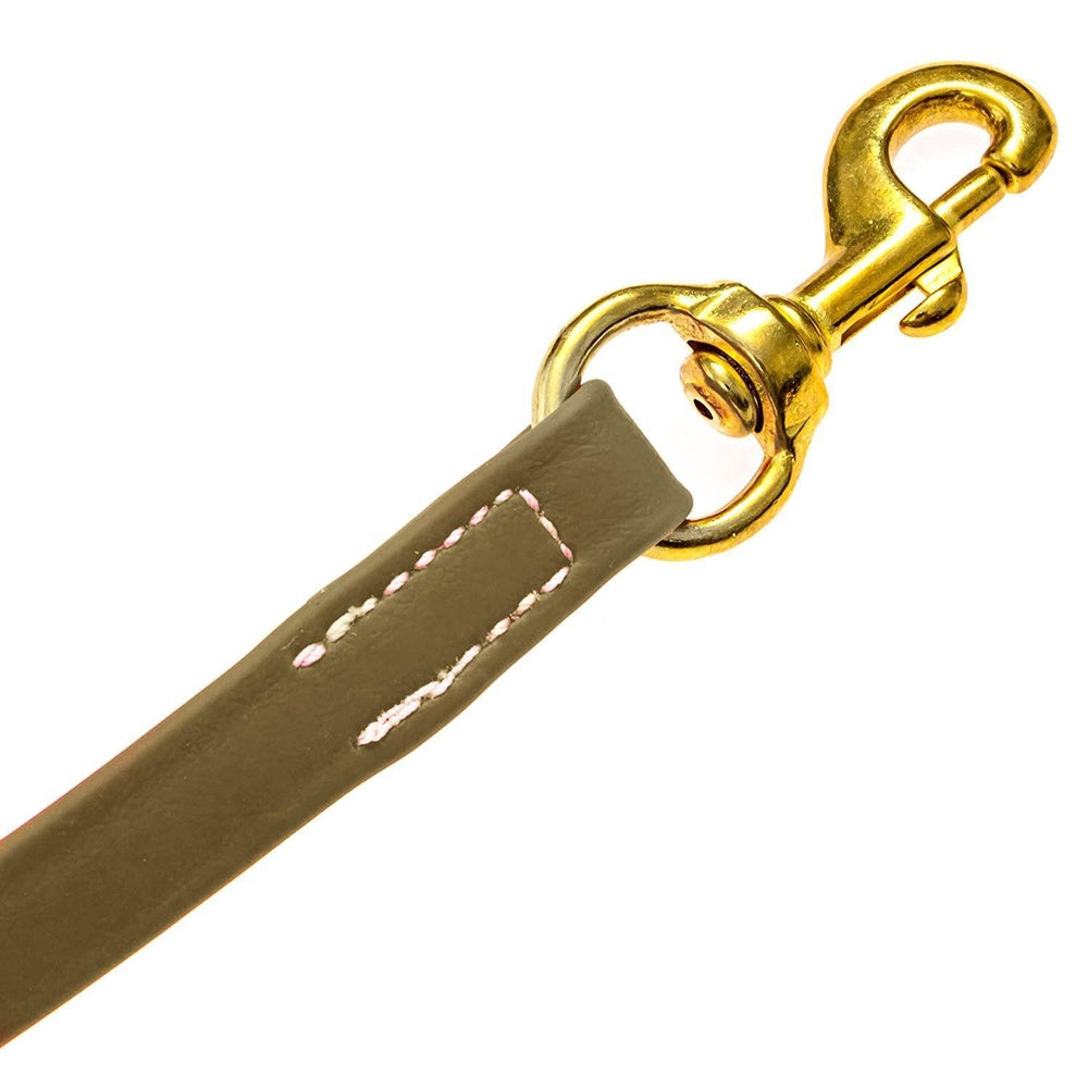 Viper Biothane Long Line 10 ft Lead with Brass Hardware