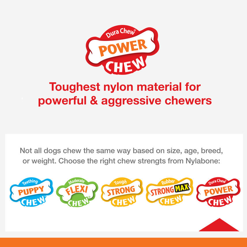 Nylabone Power Chew Dental Dinosaur Dog Toy Chicken 1ea/Large/Giant - Up To 50 lb - Bark & Beyond