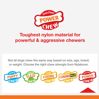 Nylabone Power Chew Dental Dinosaur Dog Toy Chicken 1ea/Large/Giant - Up To 50 lb - Bark & Beyond