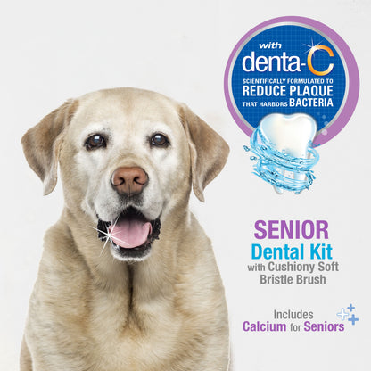 Nylabone Advanced Oral Care Senior Dog Dental Kit with Cushiony Soft-Bristle Toothbrush Bacon 1ea - Bark & Beyond