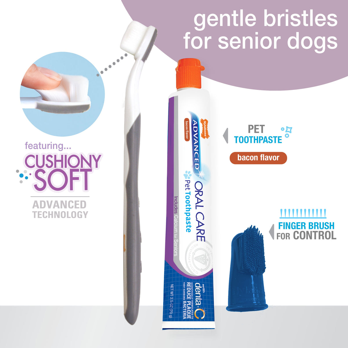 Nylabone Advanced Oral Care Senior Dog Dental Kit with Cushiony Soft-Bristle Toothbrush Bacon 1ea - Bark & Beyond