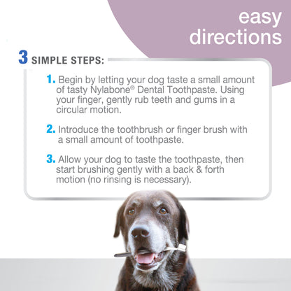 Nylabone Advanced Oral Care Senior Dog Dental Kit with Cushiony Soft-Bristle Toothbrush Bacon 1ea - Bark & Beyond