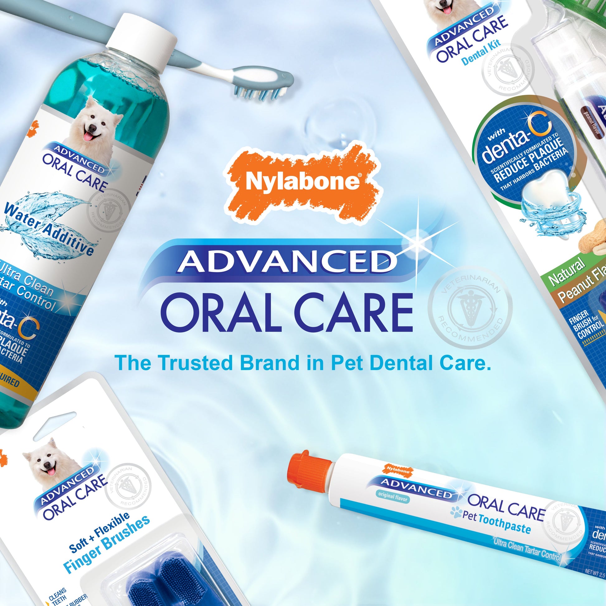 Nylabone Advanced Oral Care Senior Dog Dental Kit with Cushiony Soft-Bristle Toothbrush Bacon 1ea - Bark & Beyond
