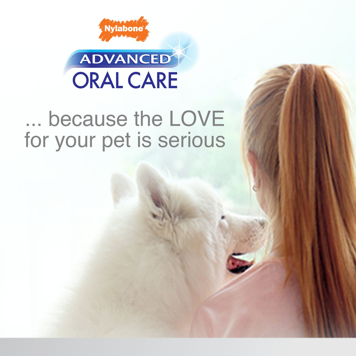 Nylabone Advanced Oral Care Senior Dog Dental Kit with Cushiony Soft-Bristle Toothbrush Bacon 1ea - Bark & Beyond