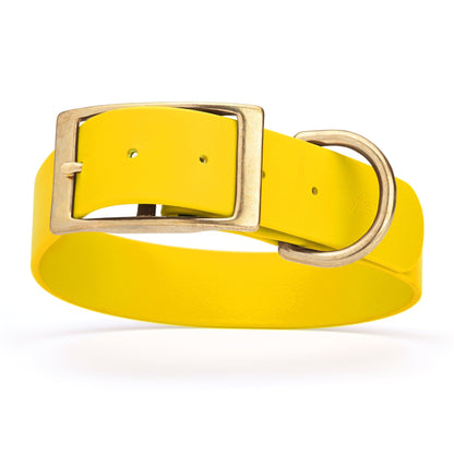 Viper Biothane Waterproof Dog Collar - Brass Hardware - 1.5in Wide, Size XXL (24 to 28 inches)