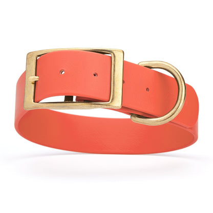 Viper Biothane Waterproof Dog Collar - Brass Hardware - 1.5in Wide, Size L (16 to 20 inches)