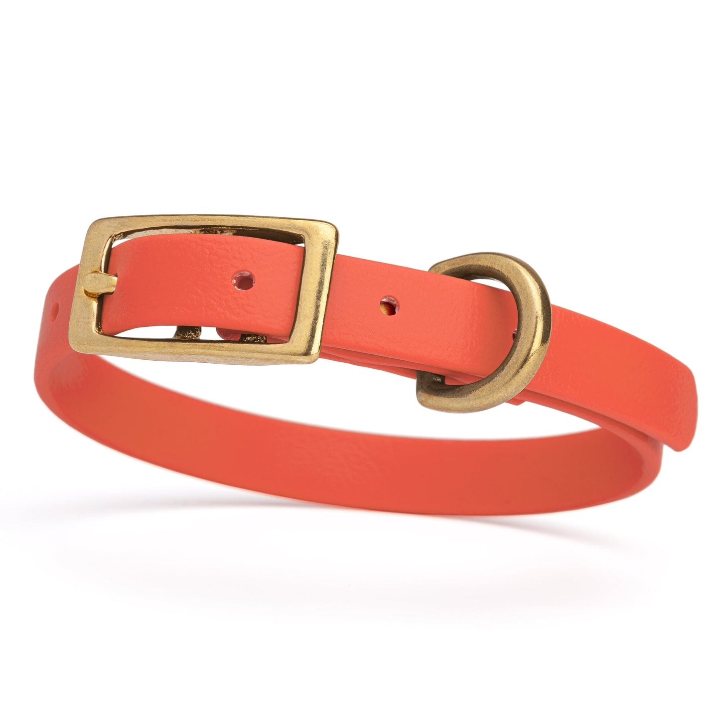 BioThane Waterproof Dog Collar - XS: L 9"-12" x W 1/2" - Black OR Brass Hardware