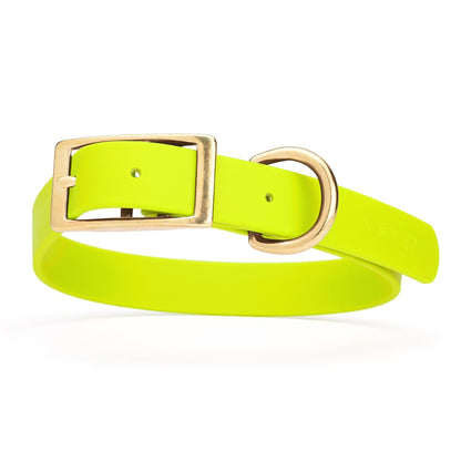 Viper Biothane Waterproof Dog Collar - Brass Hardware - Size L (18 to 22 inches)