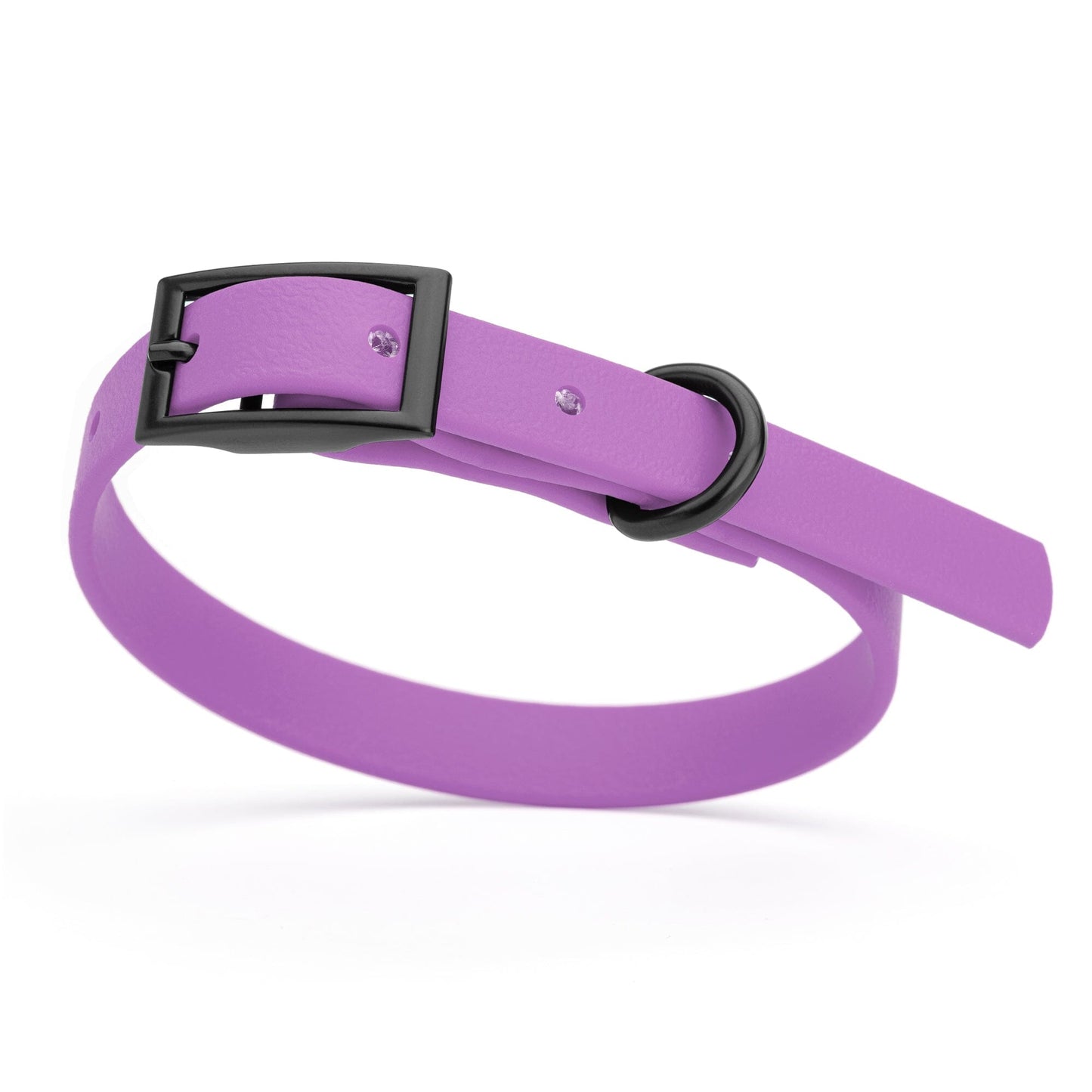 Dogline Biothane Waterproof Dog Collar with Black Hardware - Size XS (9 to 12 inches)