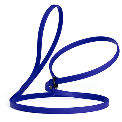 Biothane Slip Lead for Dogs, 5FT and 7FT