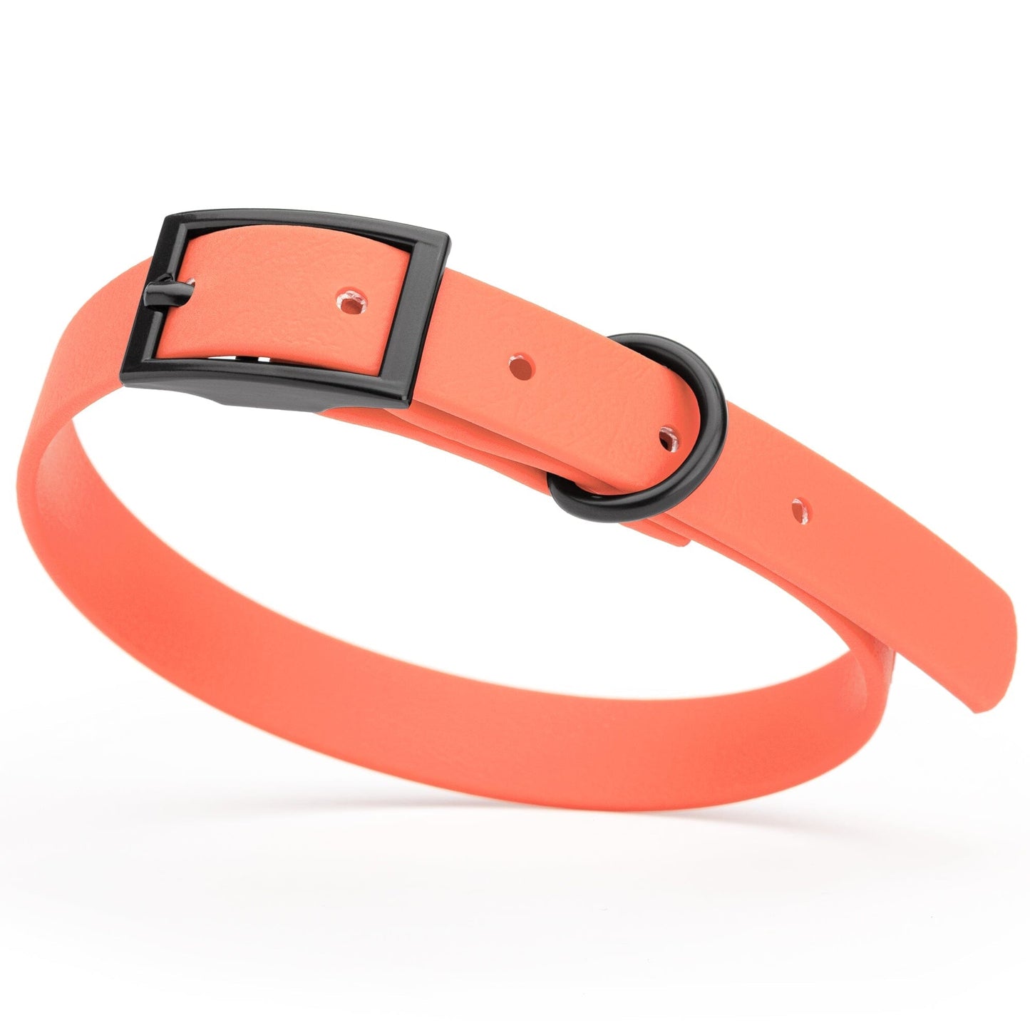 Dogline Biothane Waterproof Dog Collar with Black Hardware - Size S (12 to 15 inches)