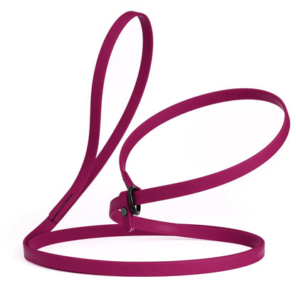 Biothane Slip Lead for Dogs, 5FT and 7FT