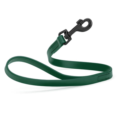 Biothane Waterproof Traffic Lead for Dogs, 2 ft
