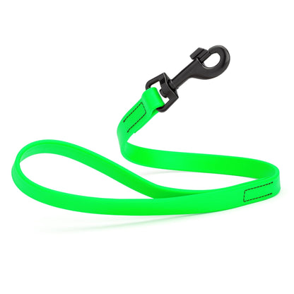 Biothane Waterproof Traffic Lead for Dogs, 2 ft