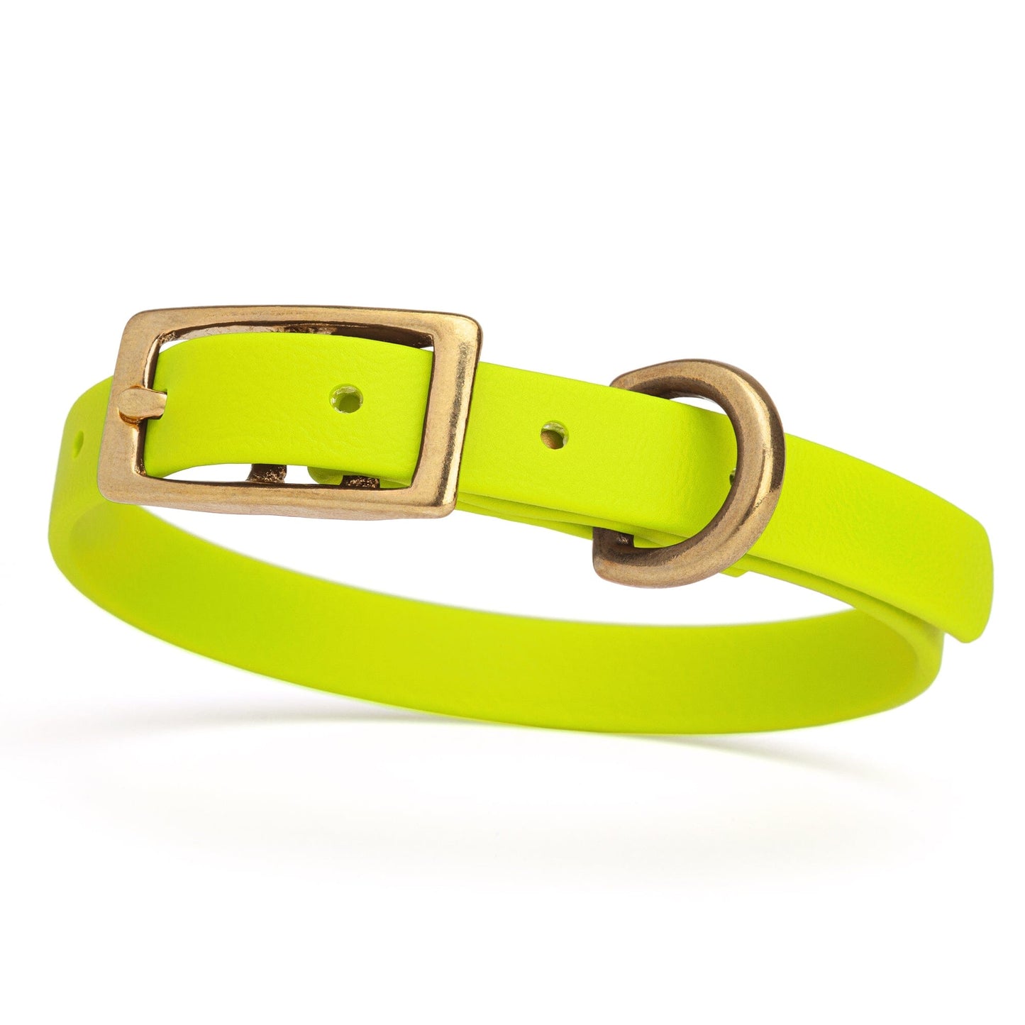 BioThane Waterproof Dog Collar - XS: L 9"-12" x W 1/2" - Black OR Brass Hardware
