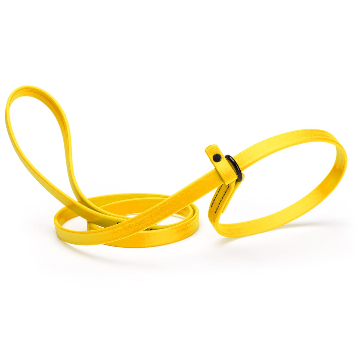 Biothane Slip Lead for Dogs, 5FT and 7FT