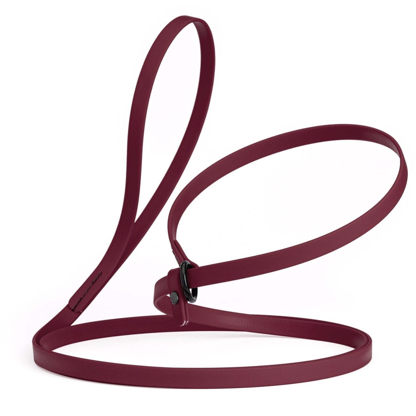 Biothane Slip Lead for Dogs, 5FT and 7FT