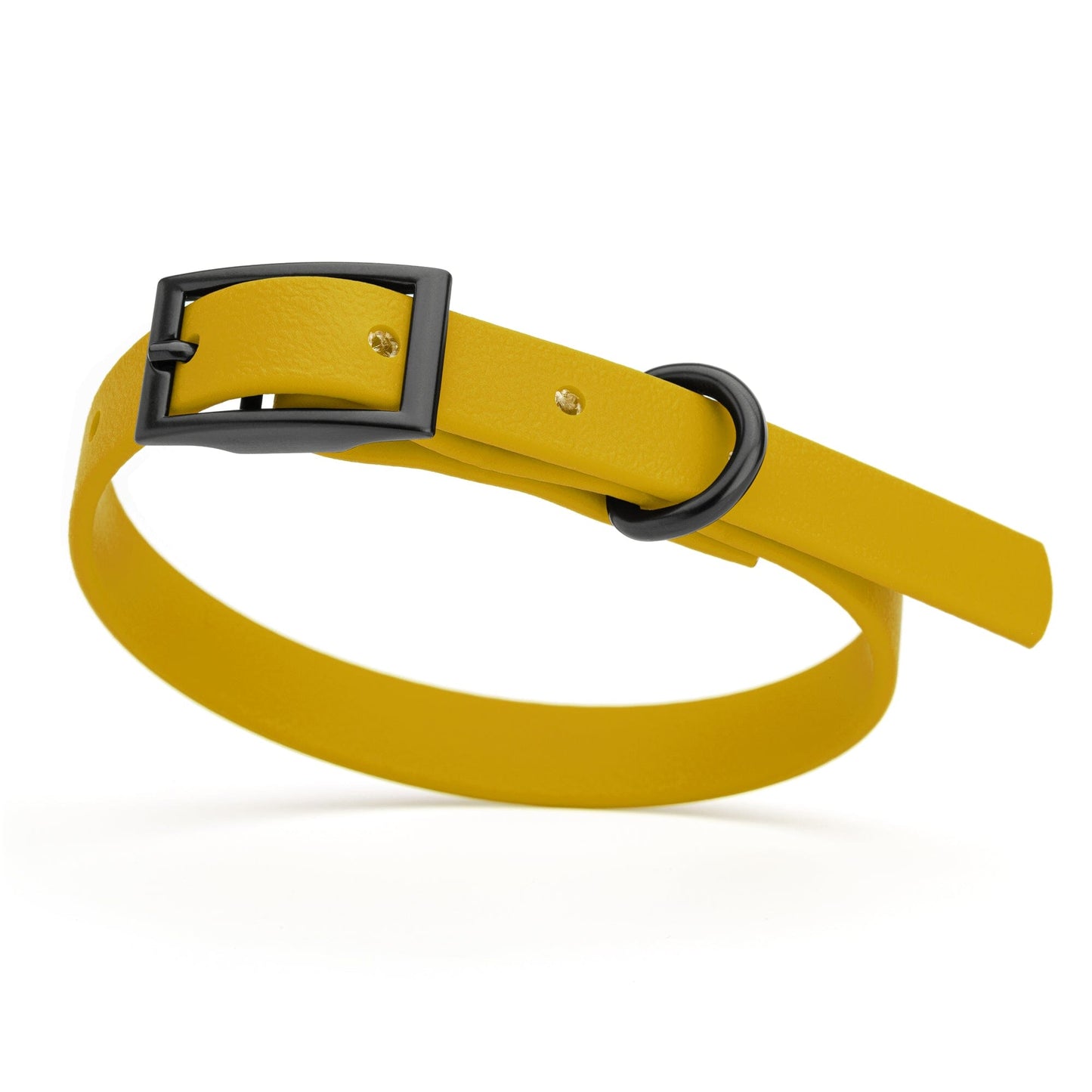 BioThane Waterproof Dog Collar - XS: L 12"-15" x W 5/8" - Black OR Brass Hardware