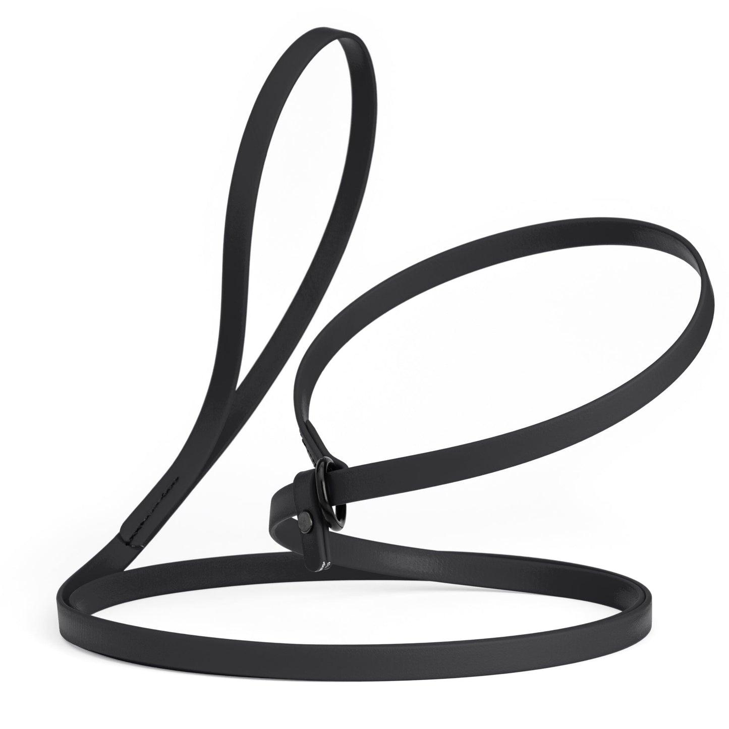 Biothane Slip Lead for Dogs, 5FT and 7FT