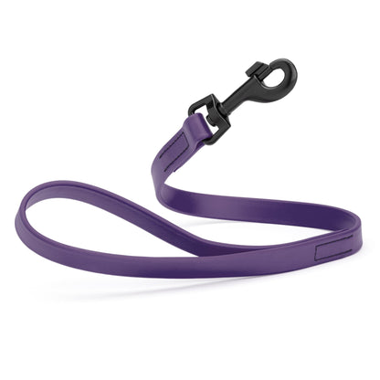 Biothane Waterproof Traffic Lead for Dogs, 2 ft