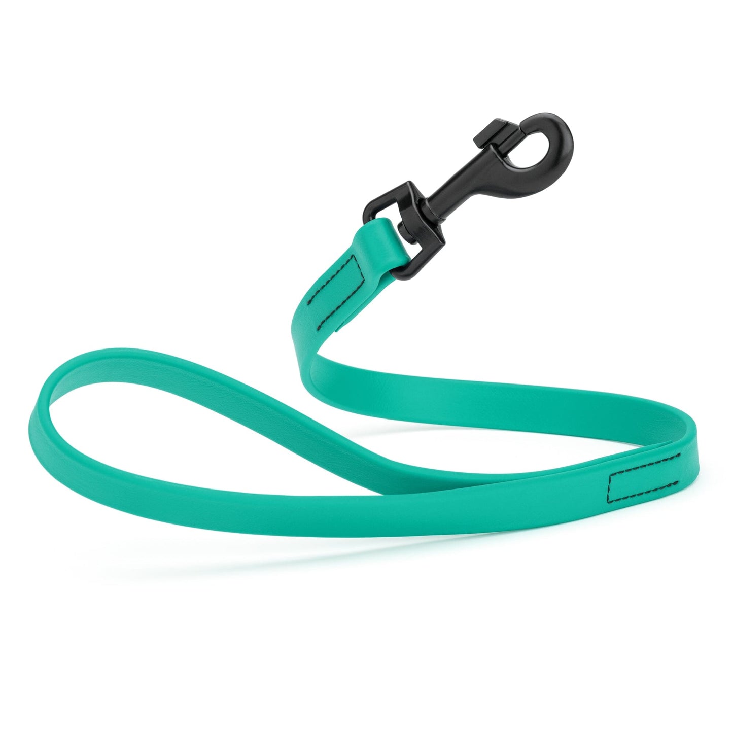 Biothane Waterproof Traffic Lead for Dogs, 2 ft