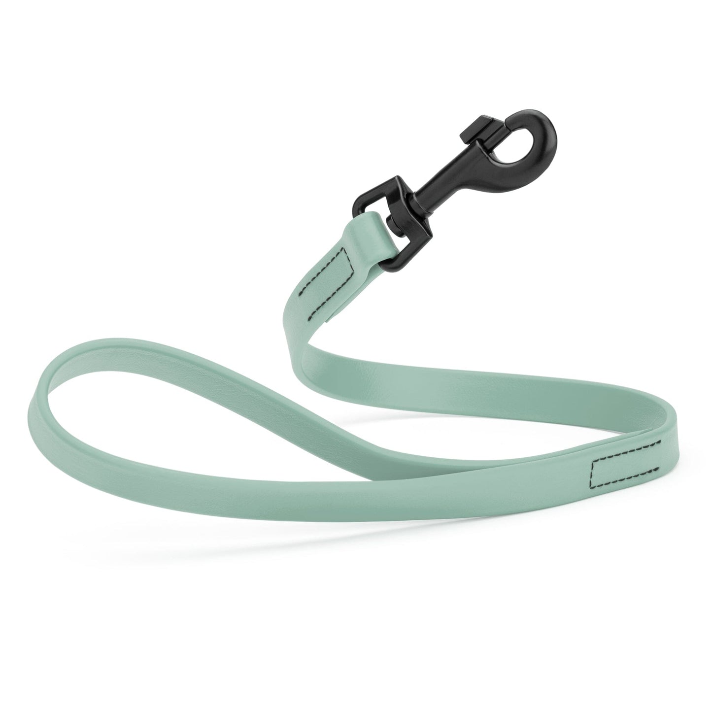 Biothane Waterproof Traffic Lead for Dogs, 2 ft