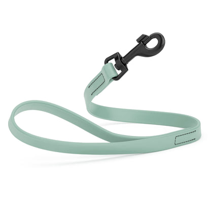 Biothane Waterproof Traffic Lead for Dogs, 2 ft