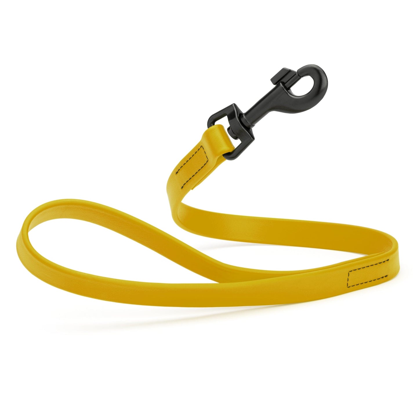 Biothane Waterproof Traffic Lead for Dogs, 2 ft