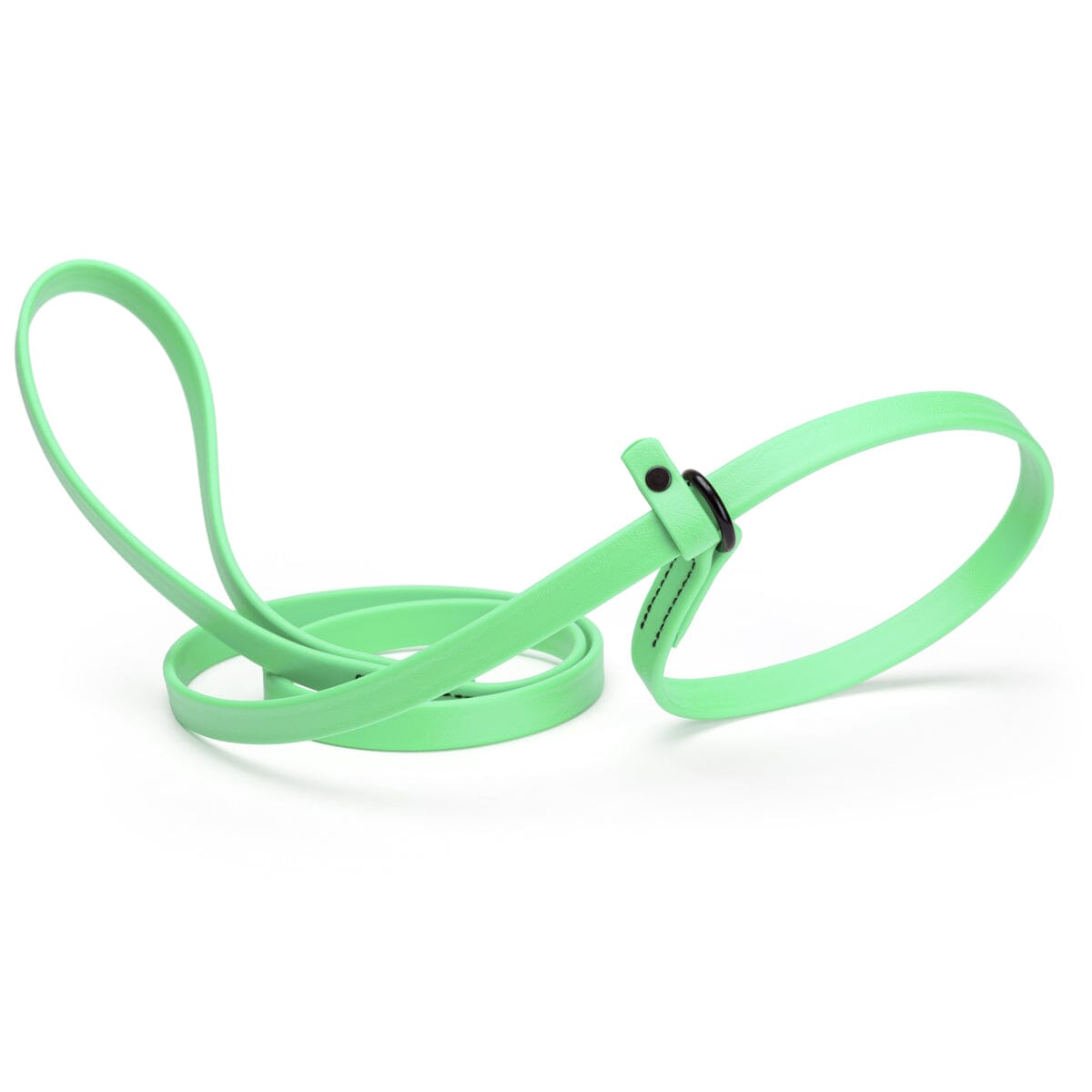 Biothane Slip Lead for Dogs, 5FT and 7FT