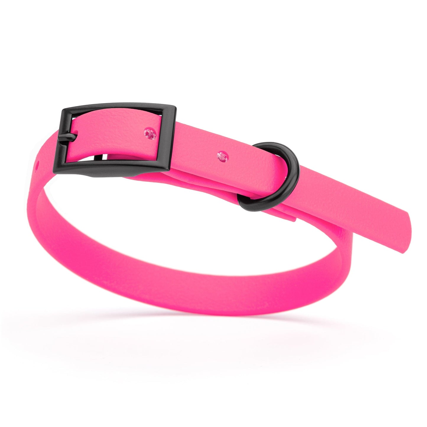 Dogline Biothane Waterproof Dog Collar with Black Hardware - Size XS (9 to 12 inches)