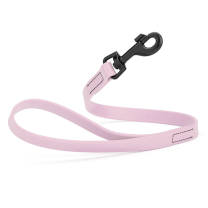Biothane Waterproof Traffic Lead for Dogs, 2 ft