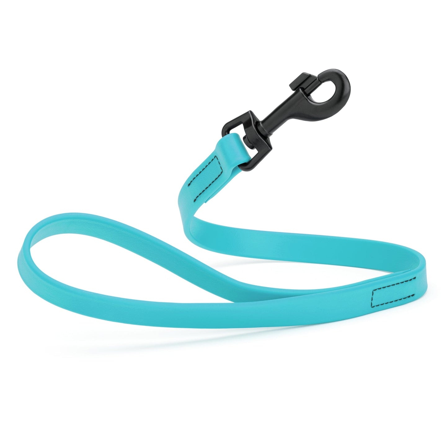 Biothane Waterproof Traffic Lead for Dogs, 2 ft