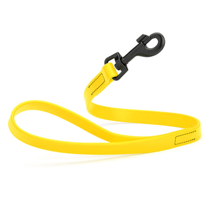 Biothane Waterproof Traffic Lead for Dogs, 2 ft