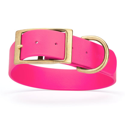Viper Biothane Waterproof Dog Collar - Brass Hardware - 1.5in Wide, Size XXL (24 to 28 inches)