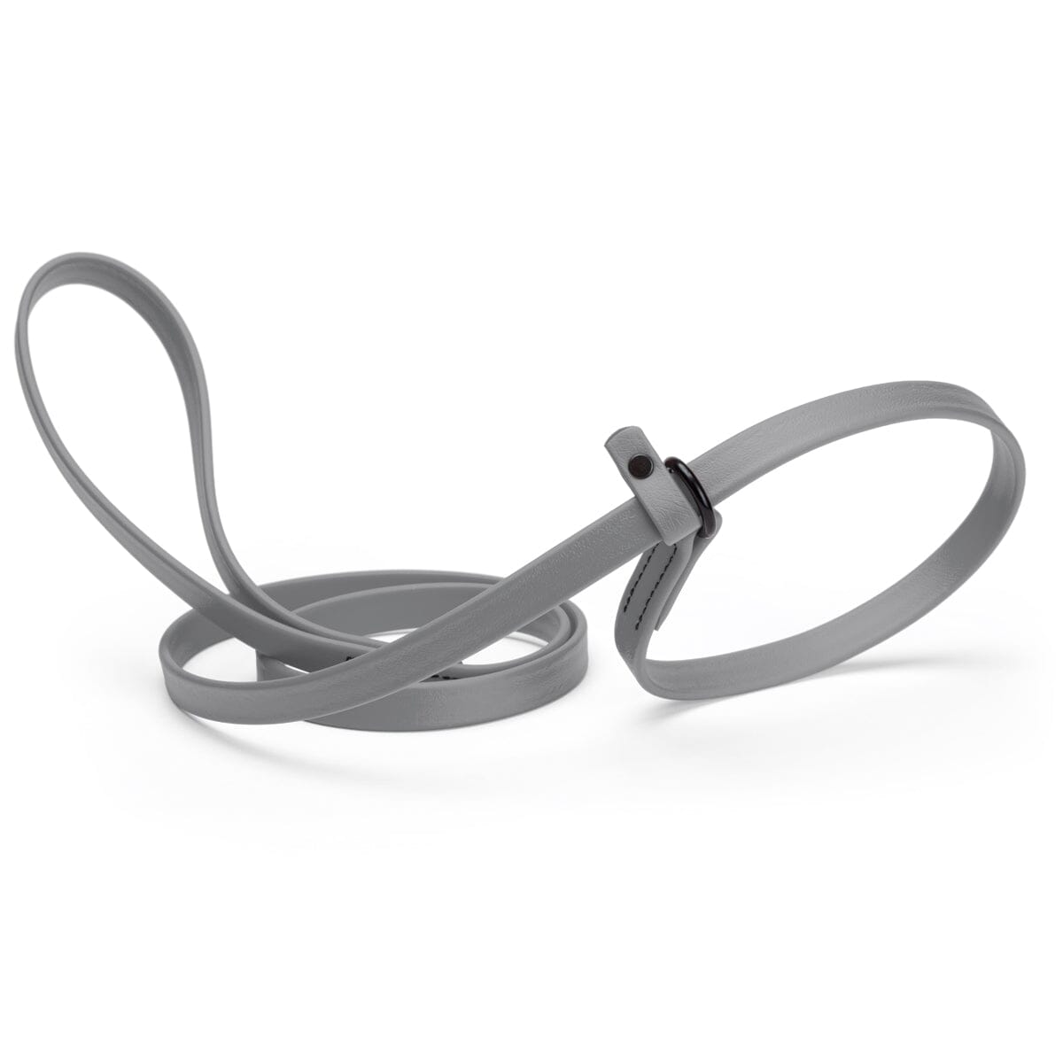 Biothane Slip Lead for Dogs, 5FT and 7FT