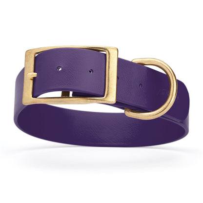 Viper Biothane Waterproof Dog Collar - Brass Hardware - 1.5in Wide, Size XL (20 to 24 inches)