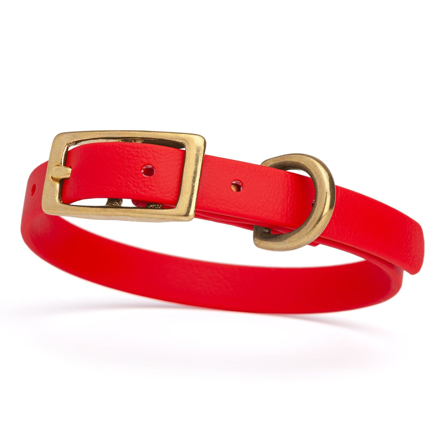 BioThane Waterproof Dog Collar - XS: L 9"-12" x W 1/2" - Black OR Brass Hardware